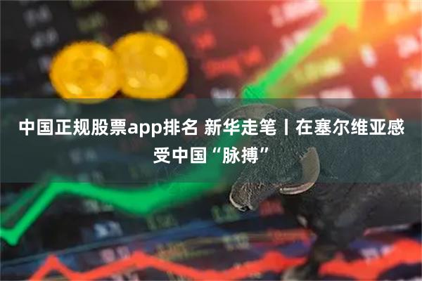 中国正规股票app排名 新华走笔丨在塞尔维亚感受中国“脉搏”