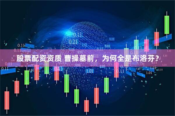 股票配资资质 曹操墓前，为何全是布洛芬？